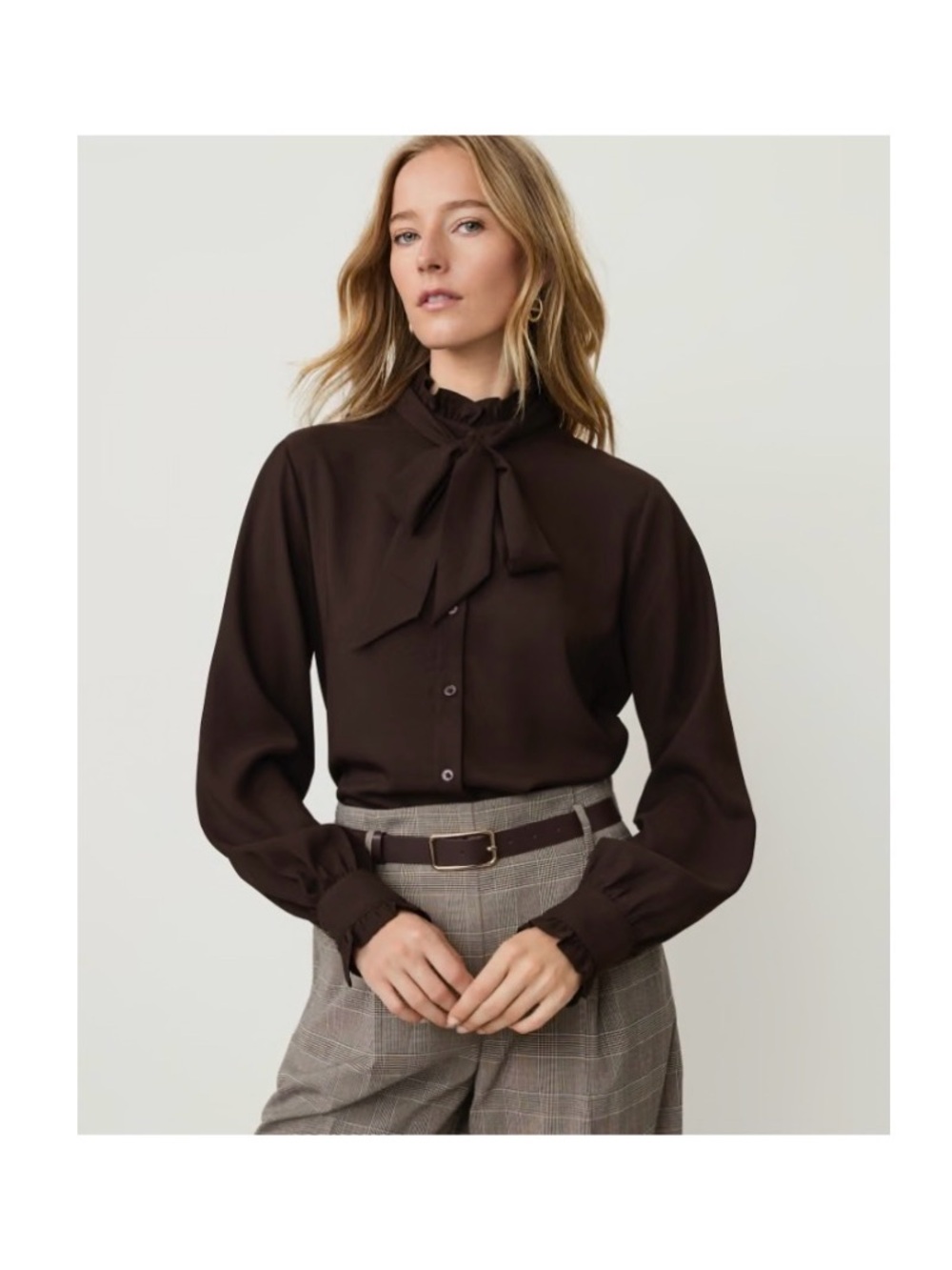 Ann Taylor Brown Ruffle Bow Neck Long Sleeve Blouse